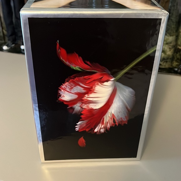 Twilight book series with collection box - Picture 5 of 5